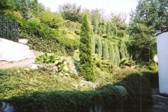 zahrada